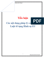 S - Tieu Luan To Tung Hinh Su Chau Au