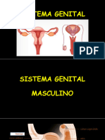 Sistema Genital 2023