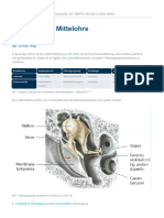 2023WS 160079 2-3 Physiologie Mittelohr