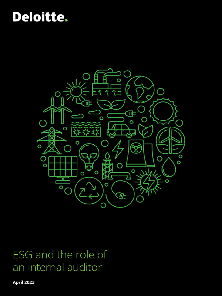 Internal Audit's Role in ESG Reporting | PDF | Internal Audit | Audit