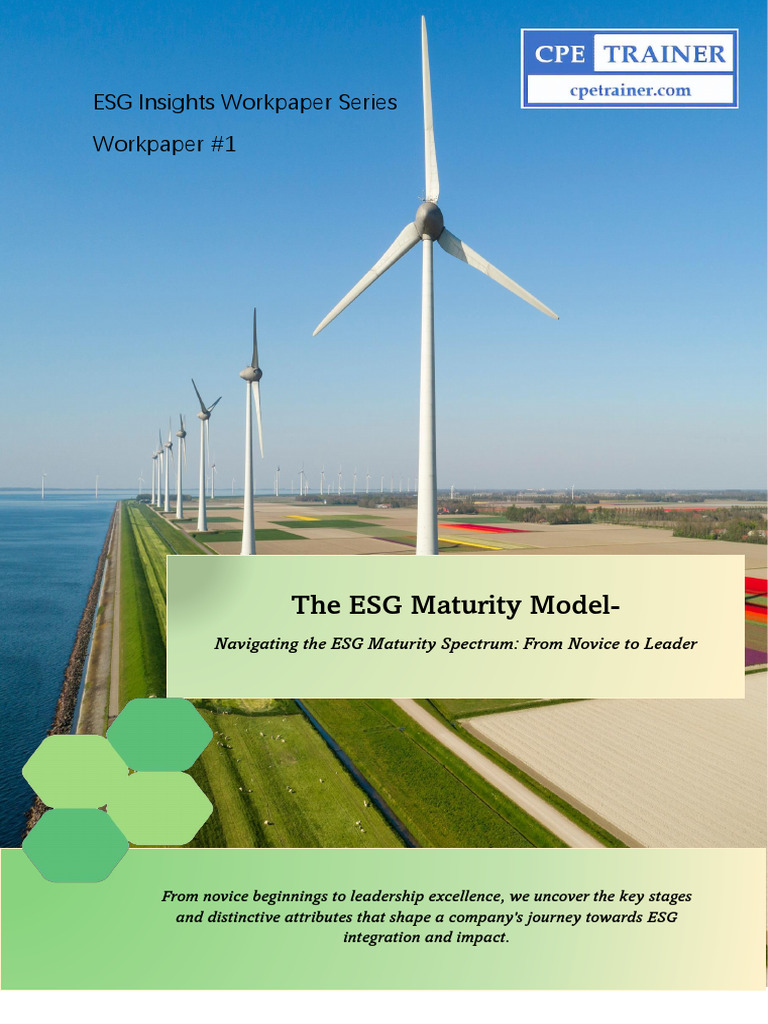Esg Maturity Model Post1 Download Free Pdf Leadership Governance