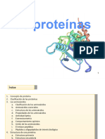 Unidad 5 Proteinas2