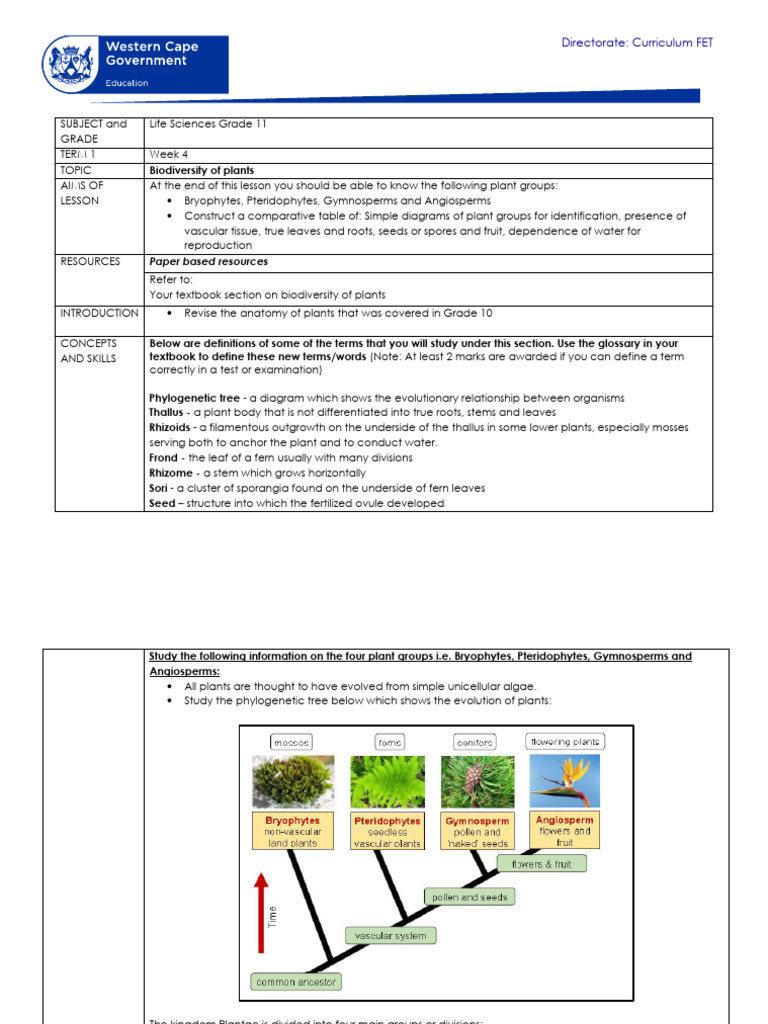 Life Sciences Grade 11 Term 1 Week 4 - 2021 | Download Free PDF | Fern ...