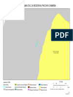 Nuevo Lima en Z.A Reserva Nacional Pacaya Samiria