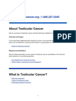 About Testicular Cancer: Overview and Types
