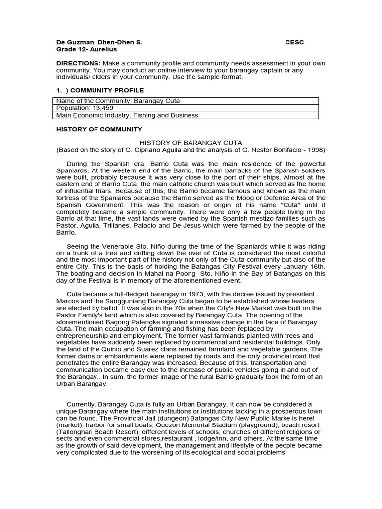Community Profile: Barangay Cuta, Batangas | PDF
