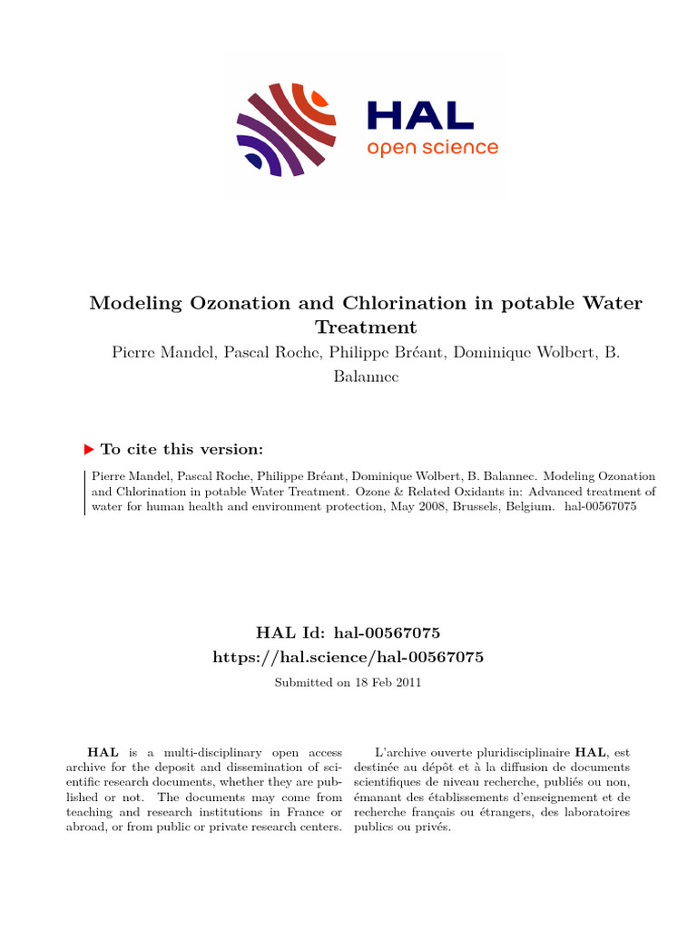 Modeling Ozonation and Chlorination in Potable Water Treatment | PDF ...