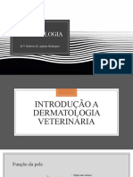 Dermatologia Veterinária 1