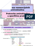 Biosinteza Neesencijalnih A.K. Pretvorba Ak U Specif. Produkte DFabris 2020