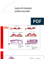 Cardiovascular