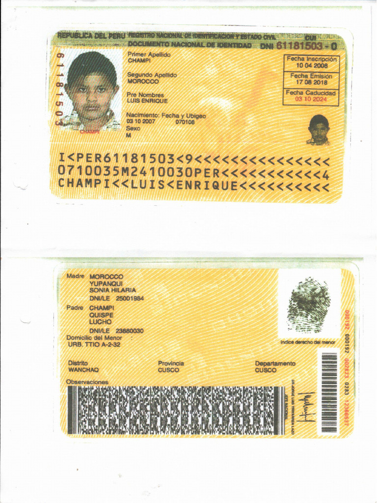 dni luis | PDF