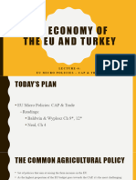 EU Micro Policies - CAP Trade