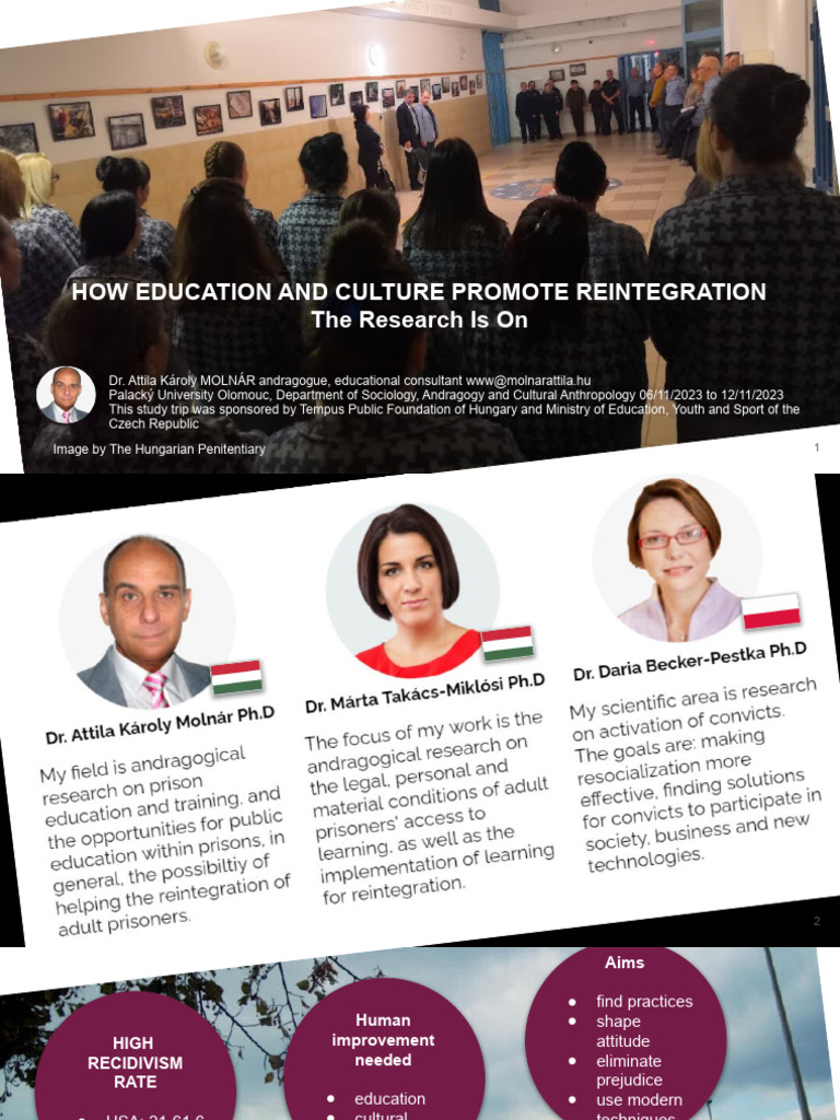 How Education and Culture Promote Reintegration | PDF | Behavior ...