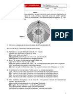 Ficha 6 - Sismos Métodos e Biodiversidade - Cópia