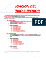 Irrigación Del Miembro Superior1