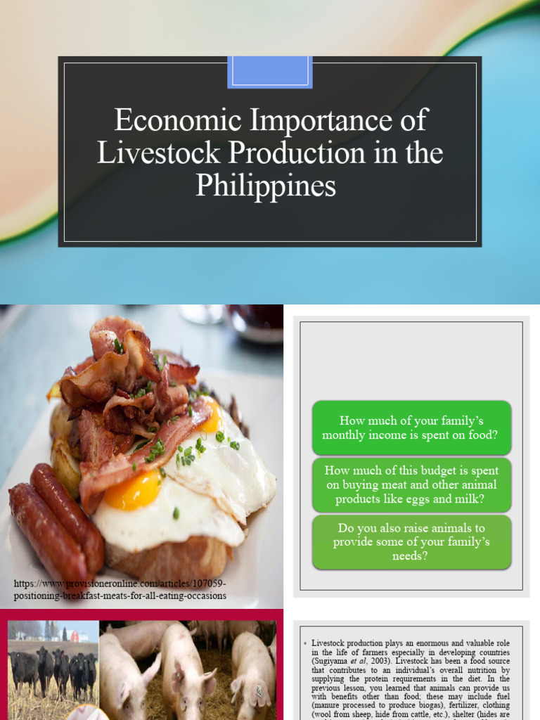 Definition intelligence overview