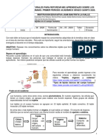 Taller Los Tejidos en El Cuerpo Humano