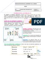 Anexo N°7 Expresiones Algebraicas