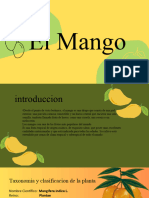 Exposicion Mangos
