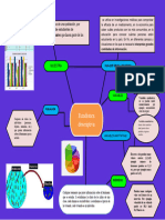 Mapa Mental Discritiva 2024