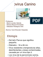 Parvoviruscaninoexpo 140914085458 Phpapp02