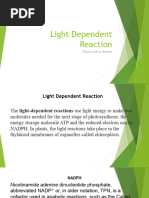 Light Dependent Reaction