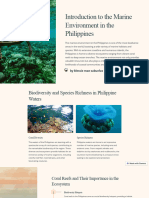 Introduction To The Marine Environment in The Philippines