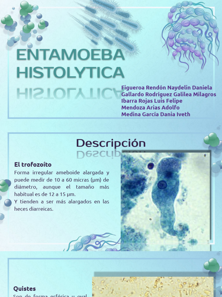 Entamoeba Histolytica | PDF | Especialidades Medicas | Enfermedades y ...