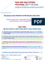 B1.PhoiĐC - Phoi4tuanđau 9.2023 DR - Vinh