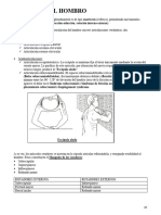 Traumatologia y Ortopedia PDF