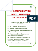 ##BMF I - N2-RP4 - NOVO - Sistema Endócrino