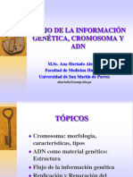 Cromosomas y Adn