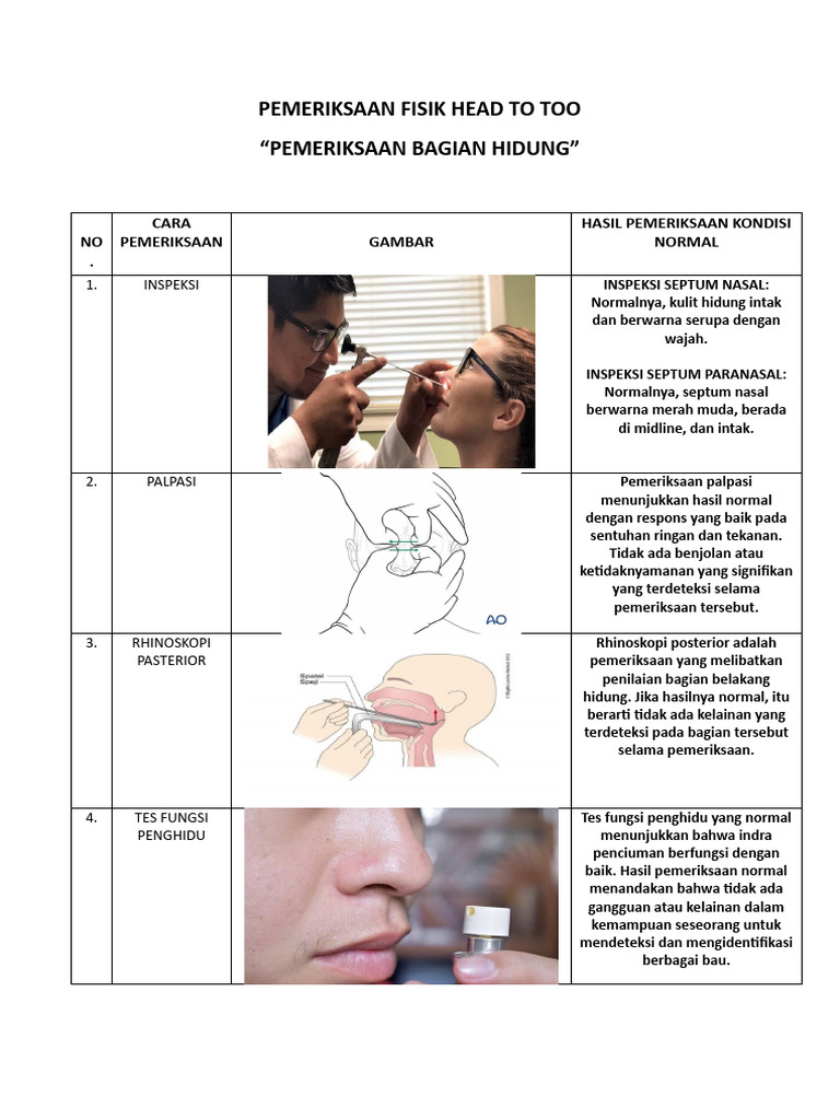 Pemeriksaan Fisik Hidung Normal | PDF