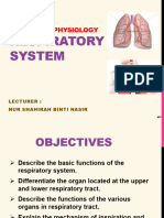 13 - Respiratory System