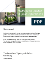 Hydroponic Garden in Your Apartment
