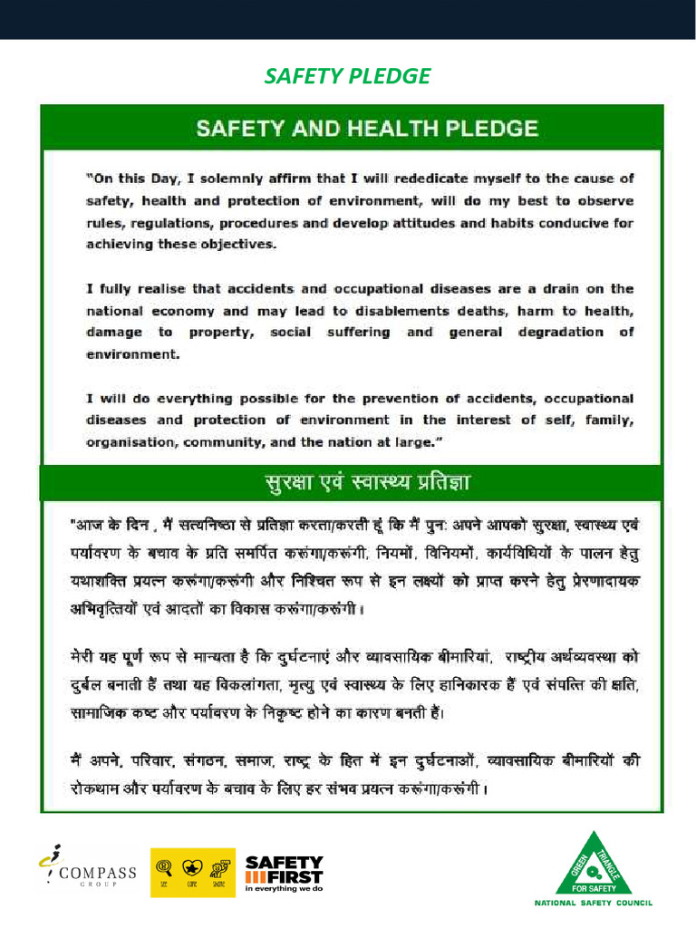 Safety Pledge Overview and Examples | PDF