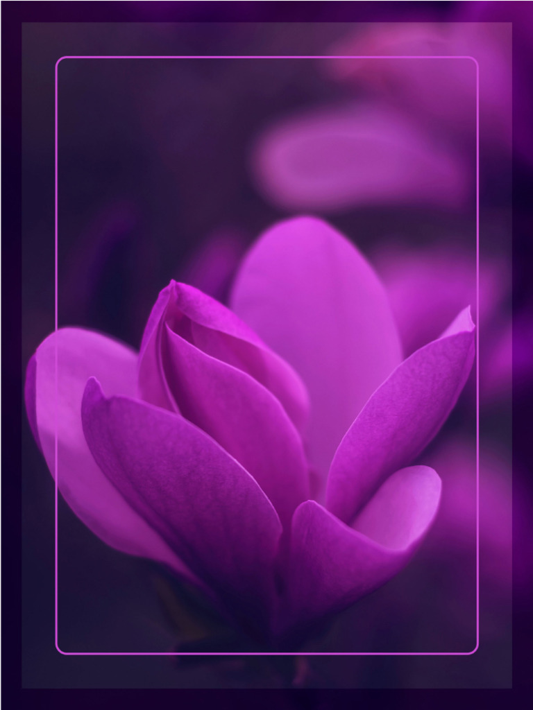 Fondo para word morado 2 pdf