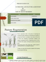 Pasture Regeneration
