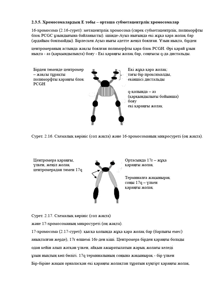 Бурят әйелдерімен жыныстық қатынасқа түскен суреттер