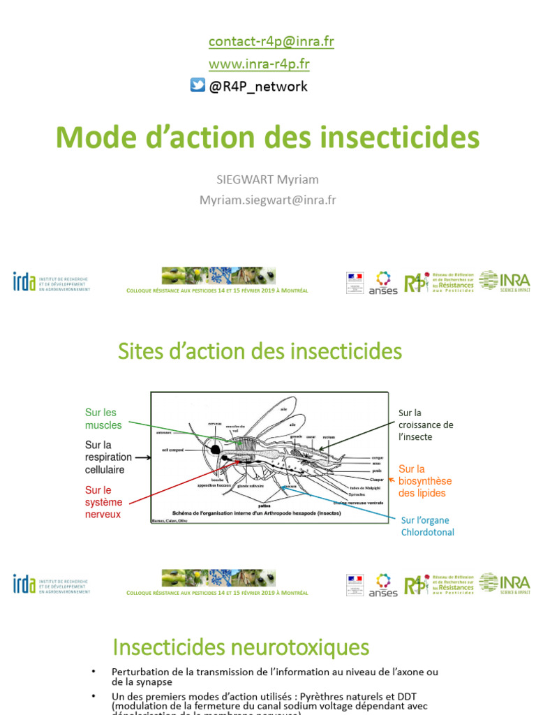 Modes d'action des insecticides neurotoxiques | PDF | Synapse ...