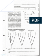 DNA Hybridisierung