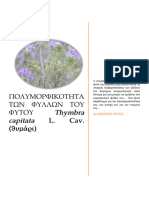 Πολυμορφικότητα των φύλλων του φυτού Thymbra capitata L. Cav. (θυμάρι) - Σμαράγδα Κόλλια