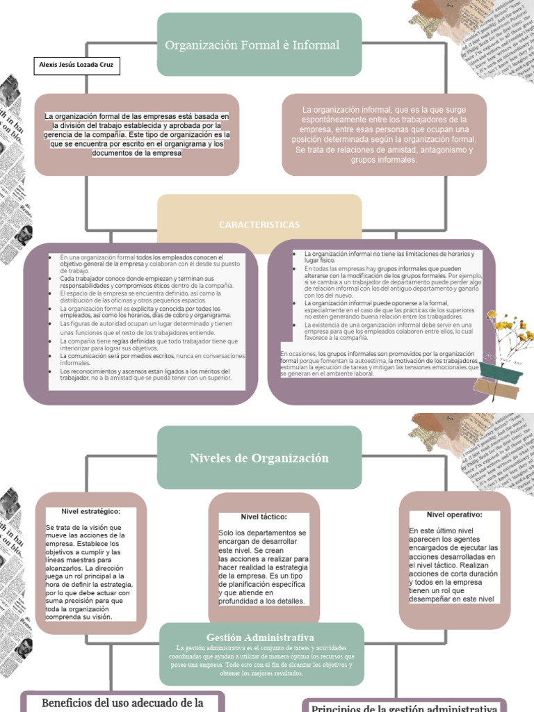 Mapa Conceptual Org. For e Inf | PDF | Planificación | Business