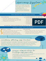Chapter 4 - Central Nervous System