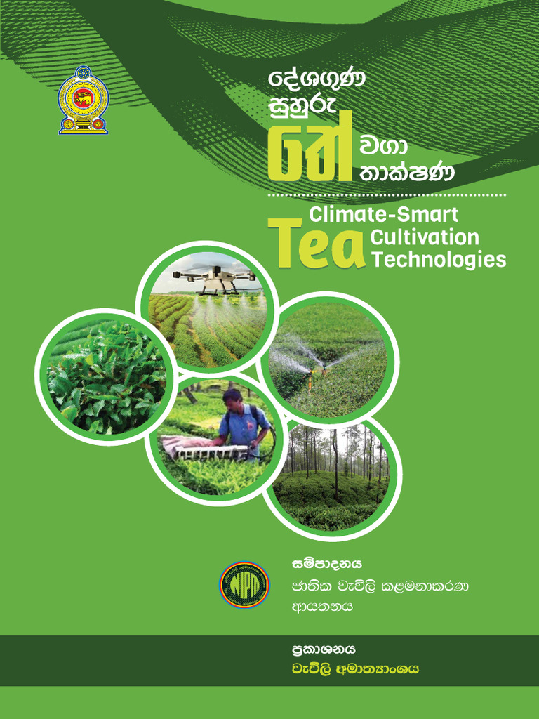 Climate Smart Tea Cultivation Guide | PDF | Science & Mathematics