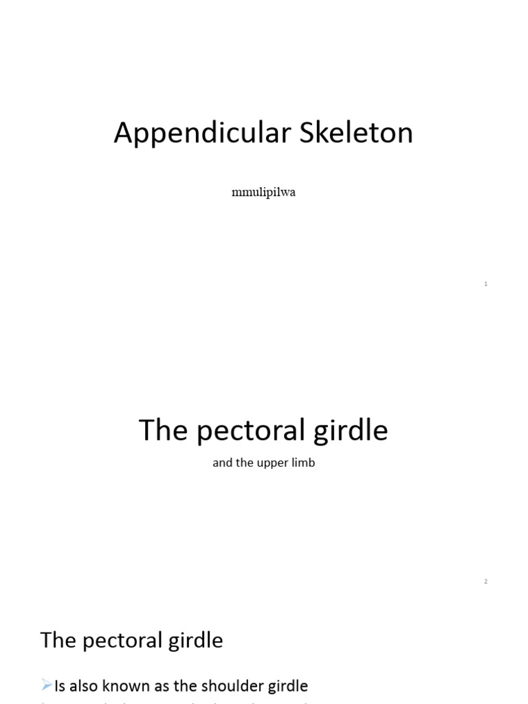 Anatomy of the Appendicular Skeleton | PDF | Pelvis | Human Leg
