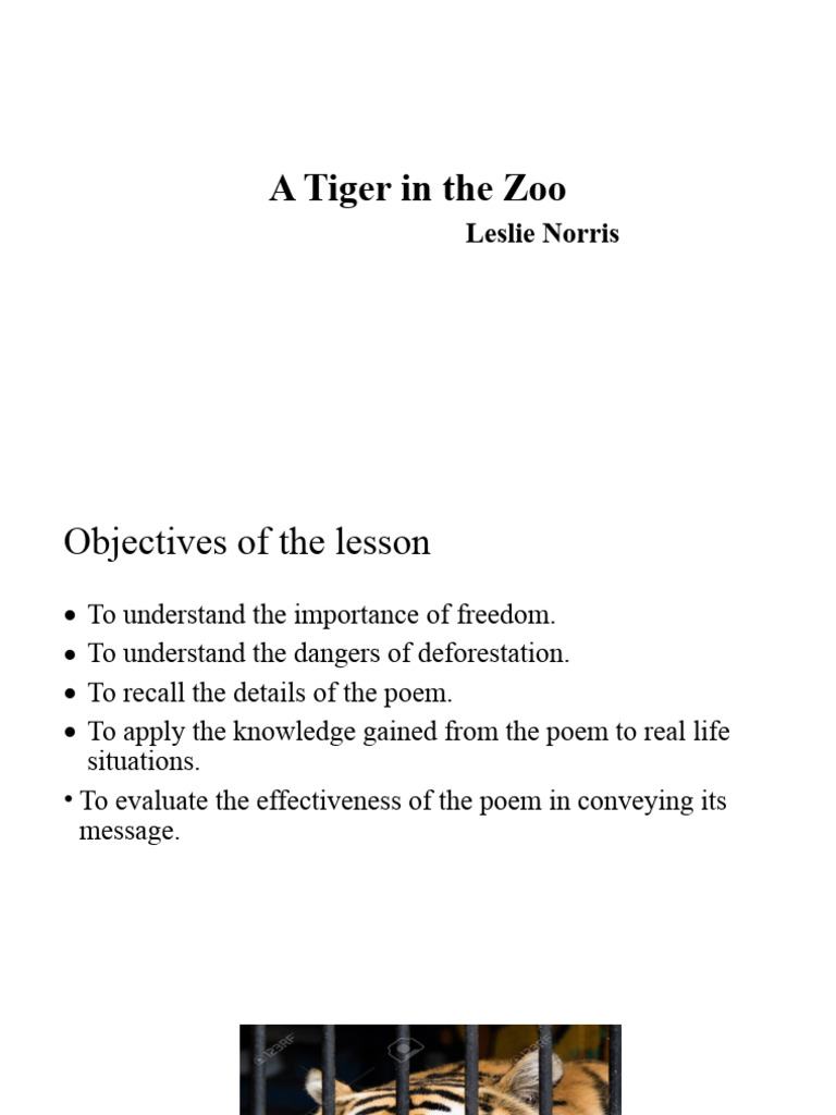 Lesson Plan: A Tiger in the Zoo | PDF