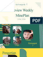 Review Weekly Mineplan