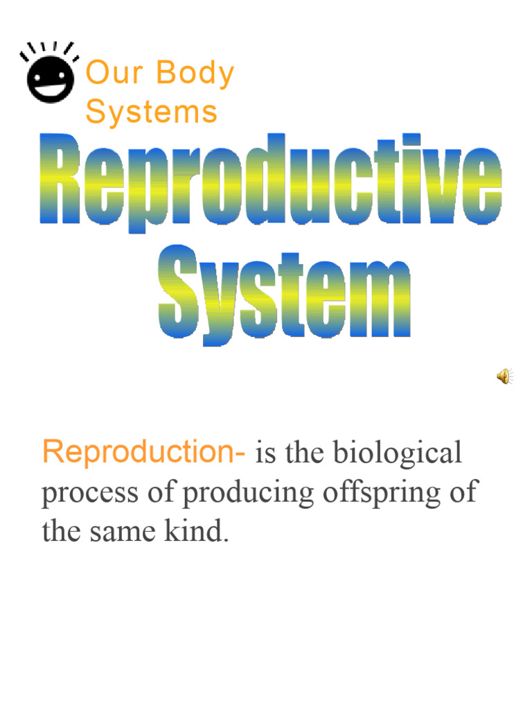 Human Reproductive System Guide | PDF | Reproductive System | Human Body
