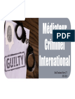 Le Metier de Mediateur Criminel International